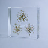 Sola Tile - Bishop's Flower