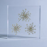 Sola Tile - Bishop's Flower