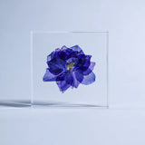 Sola Tile - Larkspur