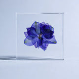 Sola Tile - Larkspur