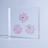 Sola Tile - Verbena