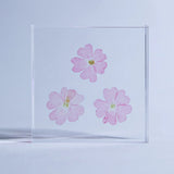 Sola Tile - Verbena