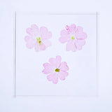 Sola Tile - Verbena