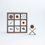 Sola Cube Display Case - Wood & Brass - 9 Cube