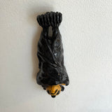 "Felicity the Flying Fox" - Ceramic Sculpture • Jun25