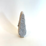 "Volcanic Poplar" - Work #07 • Jul25