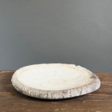 Curved Plate - Wild Porcelain - Medium