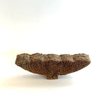 "Desert Frond" - Work #10 • Jul25