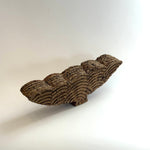 "Desert Frond" - Work #10 • Jul25
