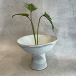 Catherine Field - Pedestal Bowl - Large #2