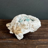 "Bizen Gem" - Wild Porcelain