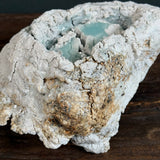 "Bizen Gem" - Wild Porcelain