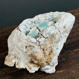 "Bizen Gem" - Wild Porcelain