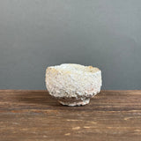 Kumidashi (Teacup) - Wild Porcelain - Medium