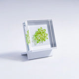 Sola Tile Display Stand