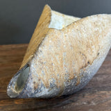 Folded Katakuchi (Sake Pourer) - Wild Porcelain - Medium