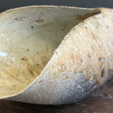 Folded Katakuchi (Sake Pourer) - Wild Porcelain - Medium