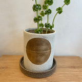 "SOH"  Planters - Gold Spot