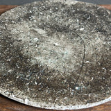 Flat Plate - Black-Fired Wild Porcelain - Medium