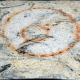 Square Tile - Marbled Wild Porcelain - Medium