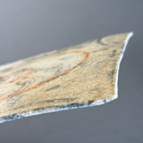 Square Tile - Marbled Wild Porcelain - Medium