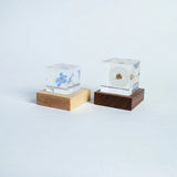 Sola Light Base