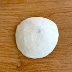 Shell Dish #01 - Small