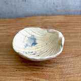 Shell Dish #02 - Small