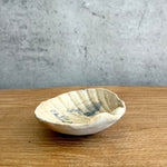 Shell Dish #02 - Small