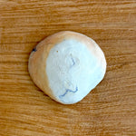 Shell Dish #02 - Small