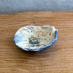 Shell Dish #03- Small