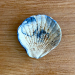 Shell Dish #03- Small