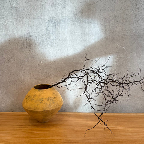 Cone Jar Vases • serious PLAY