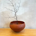 XL Bowls - Rounded • serious PLAY