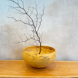 XL Bowls - Rounded • serious PLAY