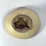 Compote Bowl