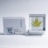Sola Tile Display Stand
