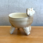 Koala Bowl - Three Legged • serious PLAY