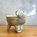 Koala Bowl - Three Legged • serious PLAY