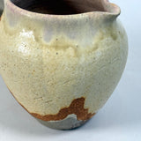 "Trunk" Jug