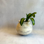 Orb Pot - XL #3 (White) - "Near & Far" 2023
