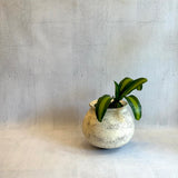 Orb Pot - XL #3 (White) - "Near & Far" 2023
