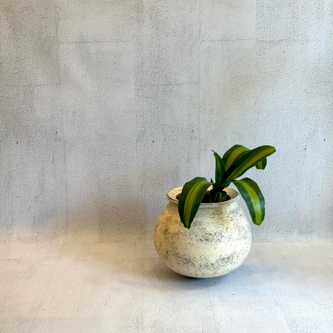 Orb Pot - XL #3 (White) - "Near & Far" 2023