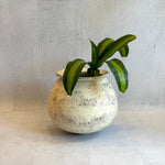 Orb Pot - XL #3 (White) - "Near & Far" 2023