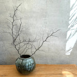 Moon Vase #03 - Wood Fired - Medium