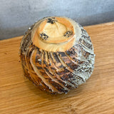 Moon Vase #02 - Wood Fired - Medium