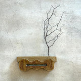 "Torque" - Wall Sculpture / Vase - Light Brown