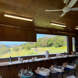 Toru Hatta - Wheel Throwing Demonstration