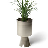 "Palm Springs" Planter - Medium