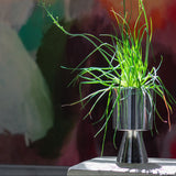 "Palm Springs" Planter - Medium